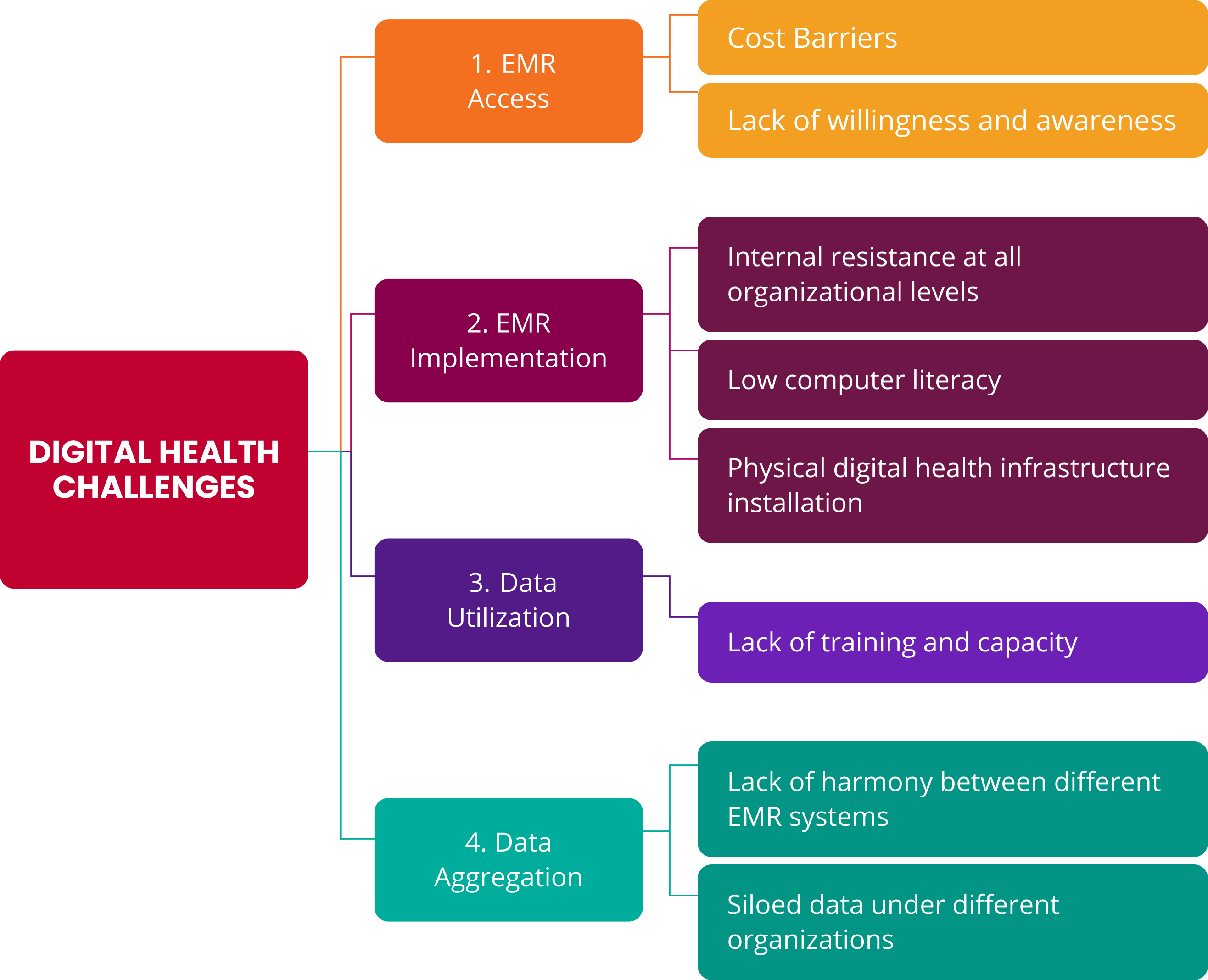 Health data challenges diagram showing EMR Access, Implementation, Data Utilization, and Data Aggregation